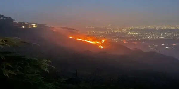 हिमाचल प्रदेश के जंगल धधके, 43 दिनों में 258 आग की घटनाएं, हजारों हेक्टेयर वन भूमि राख