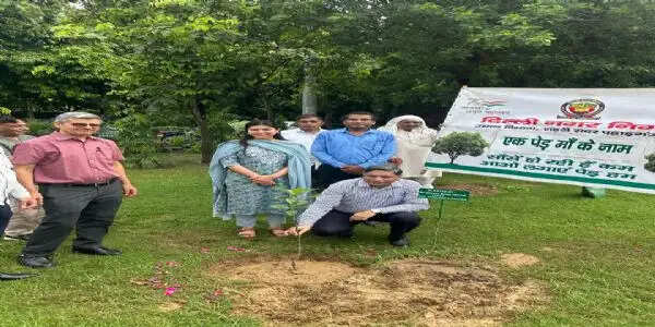 एमसीडी ने कुदसिया बाग में वृक्षारोपण अभियान का किया आयोजन, सौ से अधिक रोपे पौधे