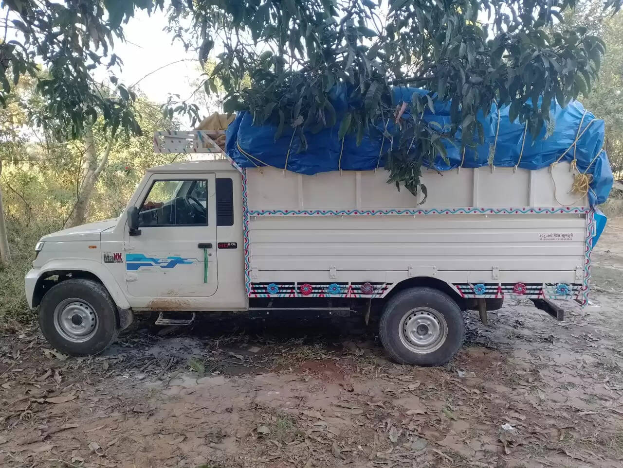 जशपुर: अवैध धान परिवहन पर पुलिस का एक्शन, उड़ीसा से ला रहे पिकअप को धर दबोचा