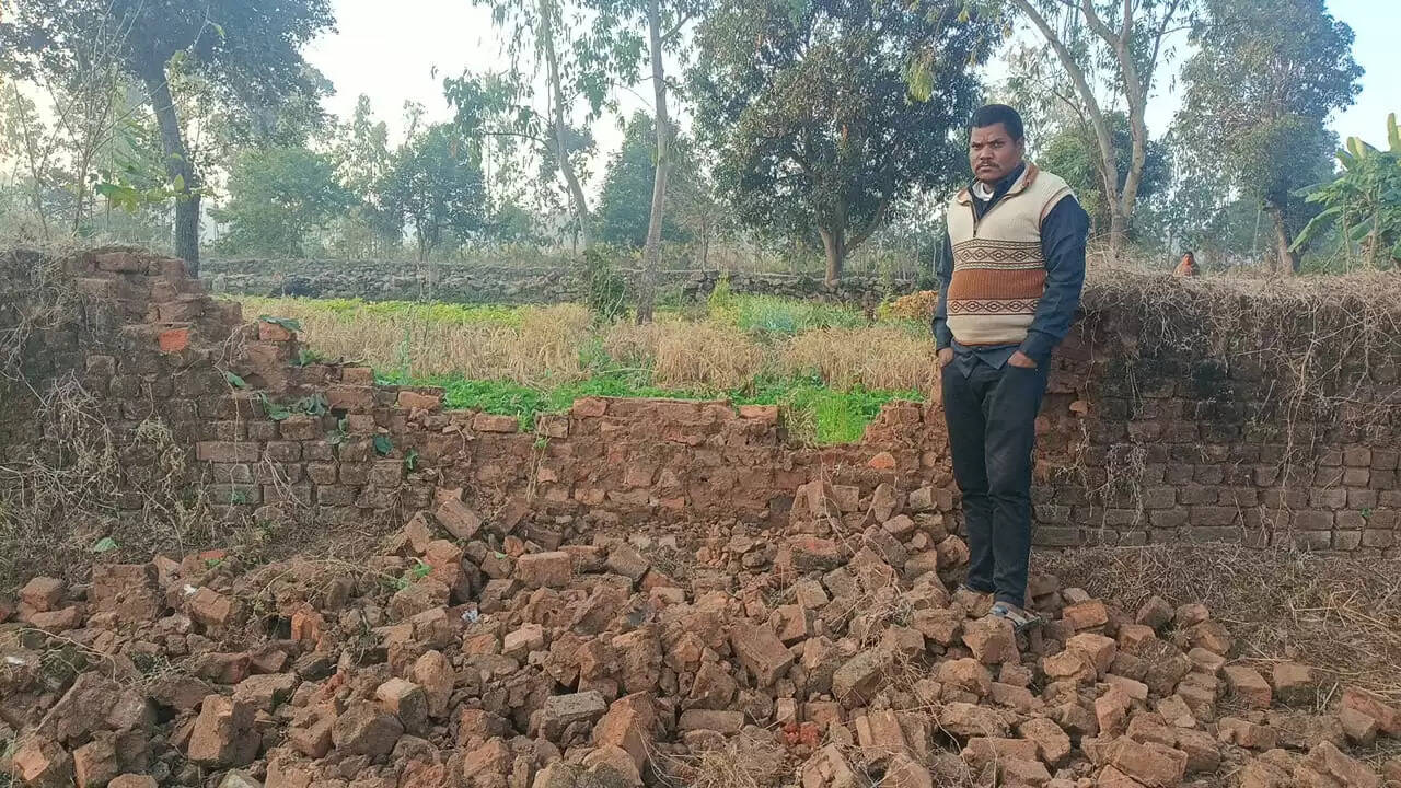 अनूपपुर: धनगवां के जंगल में डेरा जमाया तीन हाथी,रात में अचानक आ जाने का बना रहता डर