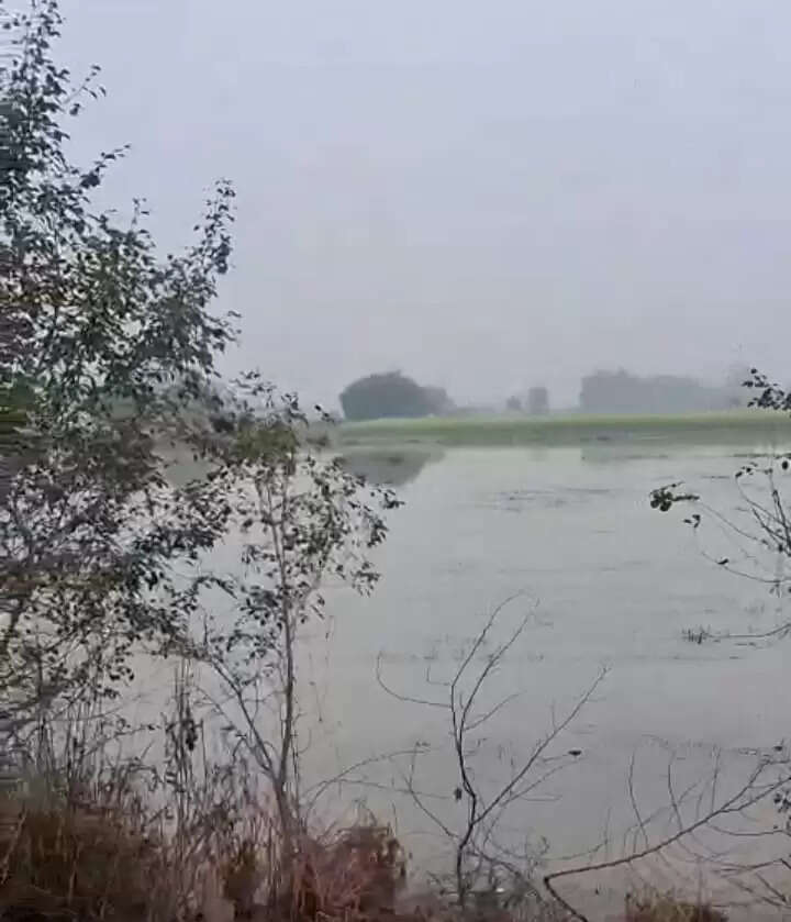 माइनर के पानी से नाले का ओवरफ्लो, अन्नदाता तबाह