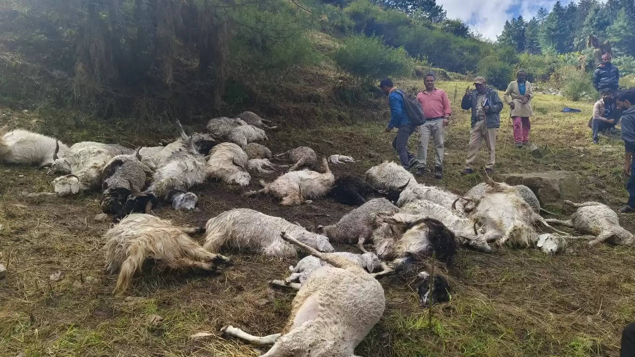 राजस्व विभाग की टीम ने प्रभावितों को सहायता राशी मुहैया कराई