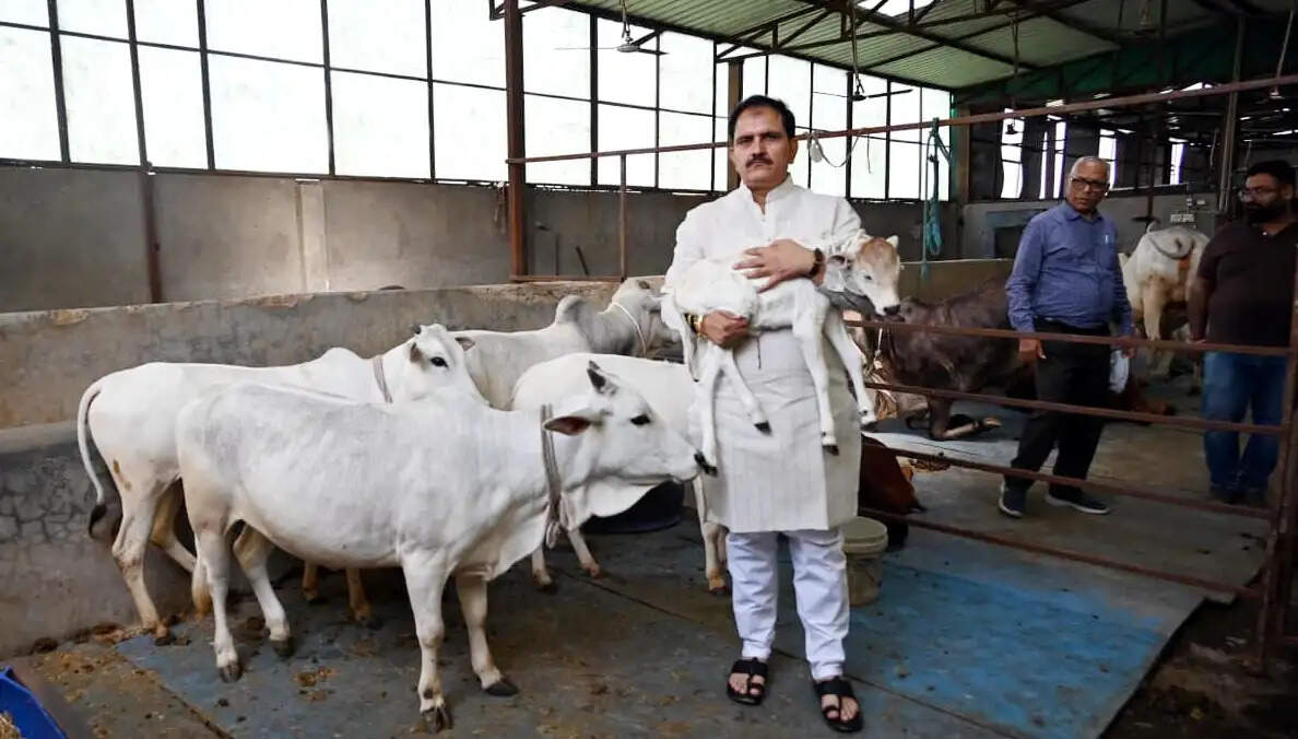 गौ-सेवा ही परम धर्म : जिला पंचायत अध्यक्ष ने पशु संरक्षण का दिया संदेश