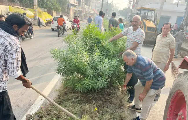 सोनीपत: सड़कों से मिट्टी और सीएंडडी वेस्ट उठाने का अभियान चलाएंगे : मेयर राजीव जैन