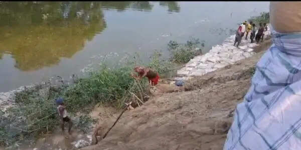 गंगा के बढ़ते जलस्तर के बीच ब्रह्मोत्तर बांध पर मरम्मत कार्य शुरू, सीओ ने किया निरीक्षण