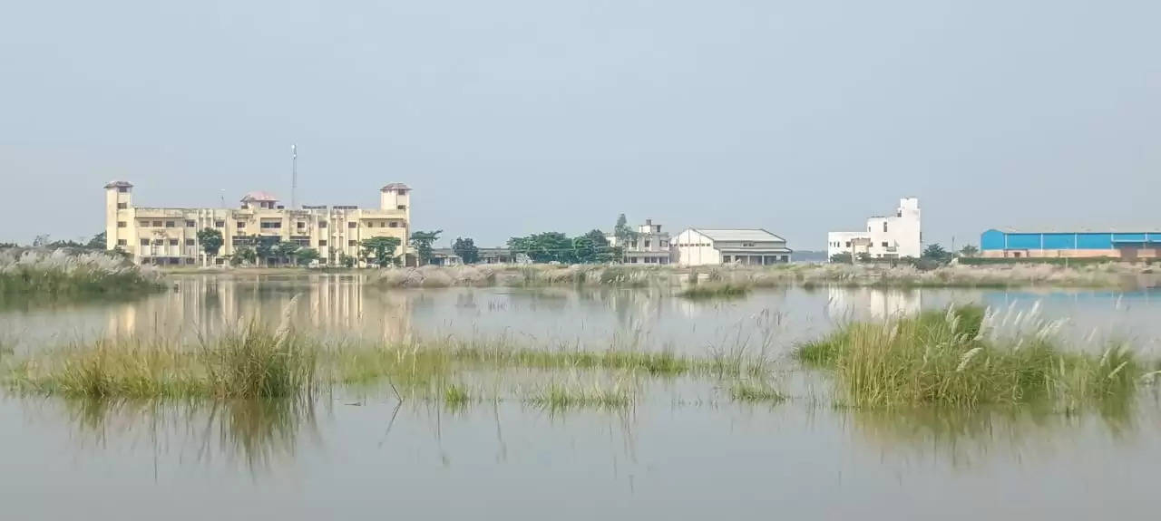 बाढ के पानी में घिरा बंजरिया प्रखंड मुख्यालय