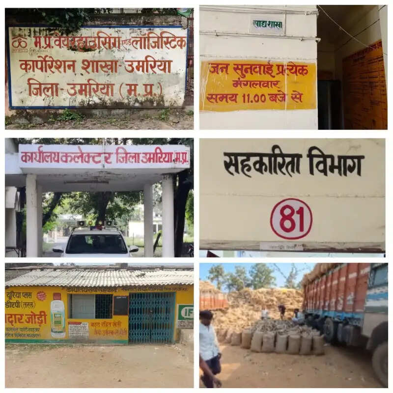 डेढ़ माह में 10 किमी भी नहीं पहुंचा ट्रक, साढ़े छह लाख की धान लापता; किसान भुगतान को भटक रहे