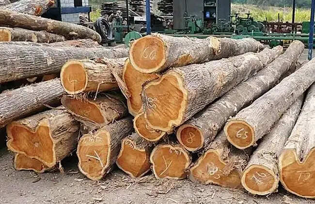 नई दिल्ली में मध्य प्रदेश टिम्बर डिपो में मई माह में सागौन काष्ठ की होगी नीलामी