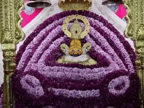 गुलाबी फूलों से सजा खाटूश्याम का दरबार, लाखों श्रद्धालुओं की उमड़ी भीड़