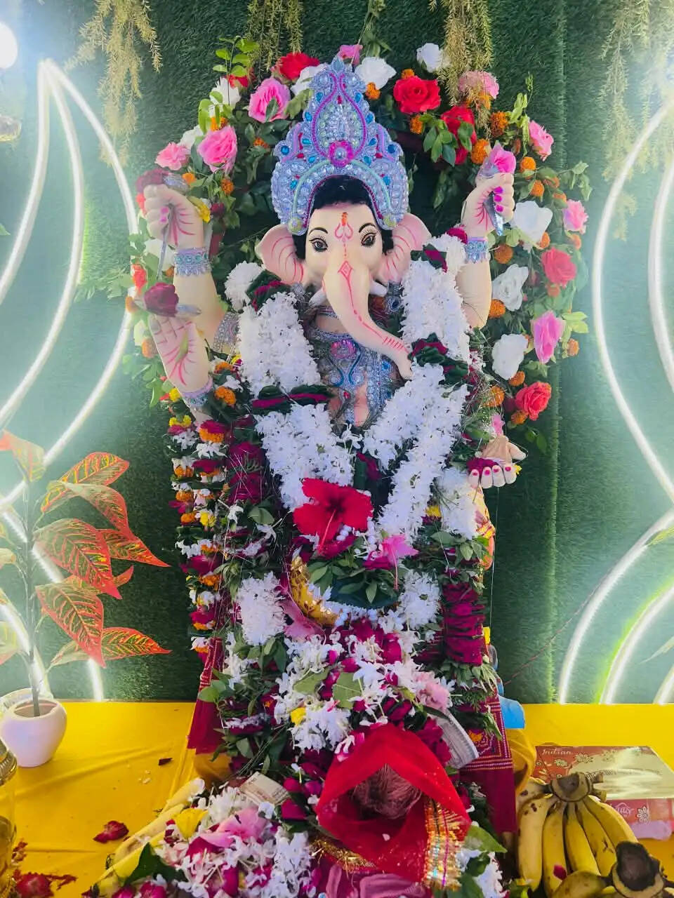 मीरजापुर: वैदिक मंत्रोच्चार के बीच सप्तसागर में हुआ गणपति प्रतिमा का विसर्जन