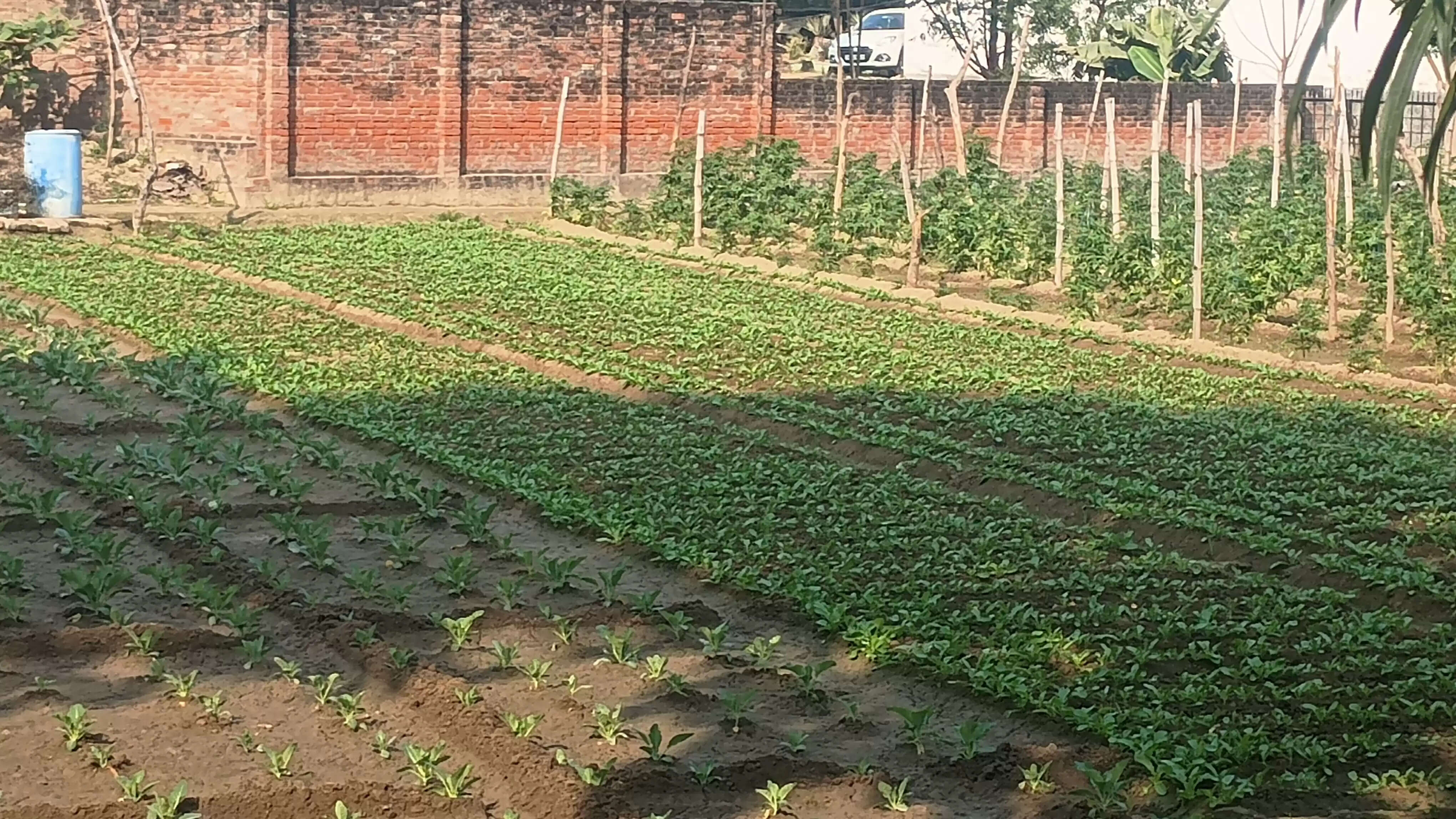 मौसम ने ली करवट खिली धूप लोगो ने ली राहत की सांस