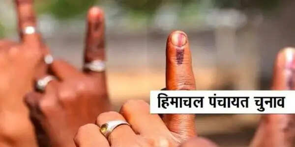 हिमाचल पंचायत चुनाव: आखिरी दिन करीब 37 हजार नामांकन, मैदान में 79 हजार से अधिक उम्मीदवार