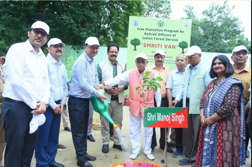 कुकरैल वन क्षेत्र के स्मृति वन में रोपित किए गए पौधे