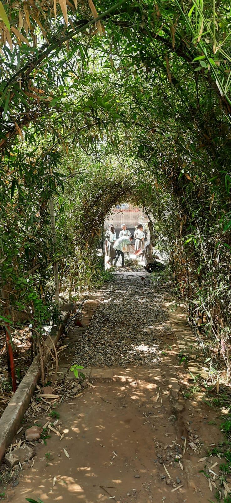 गुजरात के मुवाड़ा प्राथमिक स्कूल को मिला राष्ट्रीय स्तर का ‘ग्रीन स्कूल अवॉर्ड-2025’