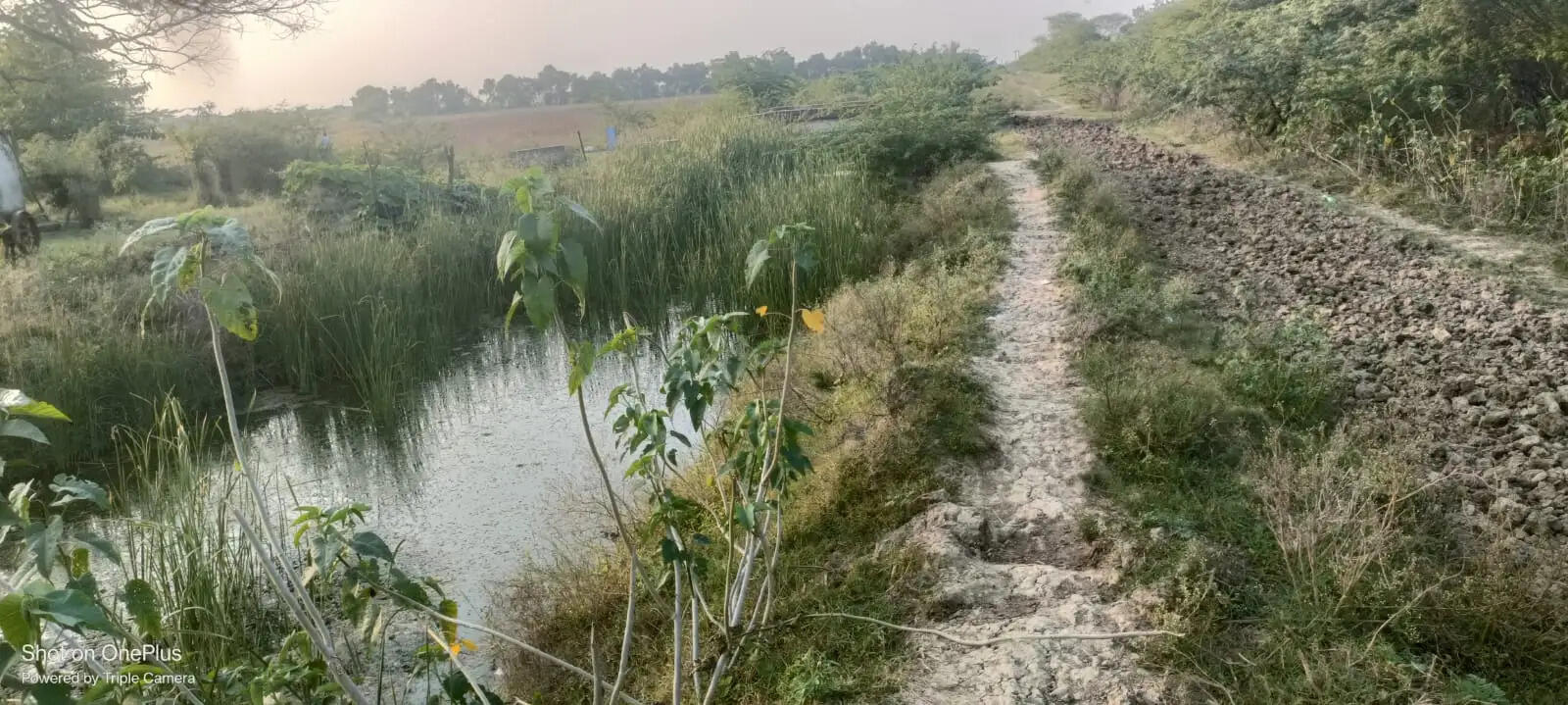 नहर सफाई के टेंडर खुले, 20 अक्टूबर से शुरू होगी सफाई