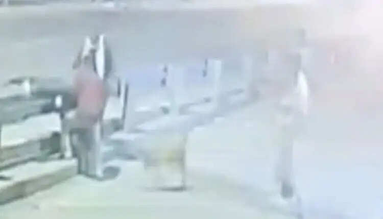 हाईवे पर कुत्ते को बचाने के प्रयास में रेलिंग से टकराई बाइक, युवक की मौत