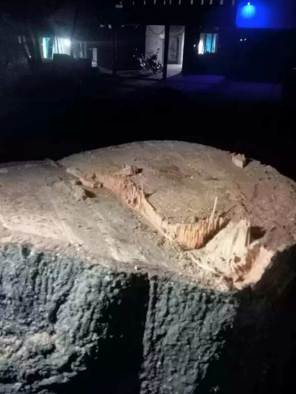 लकड़ी तस्करी रोकने पर प्लांटेशन वाचर को धमकी, SOG प्रभारी पर पिस्टल तानने का आरोप