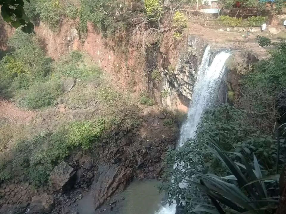 अनूपपुर: पर्यटन को बढ़ावा देने पवित्र नगरी अमरकंटक में वन्य जीव अभ्यारण बनाने की मांग