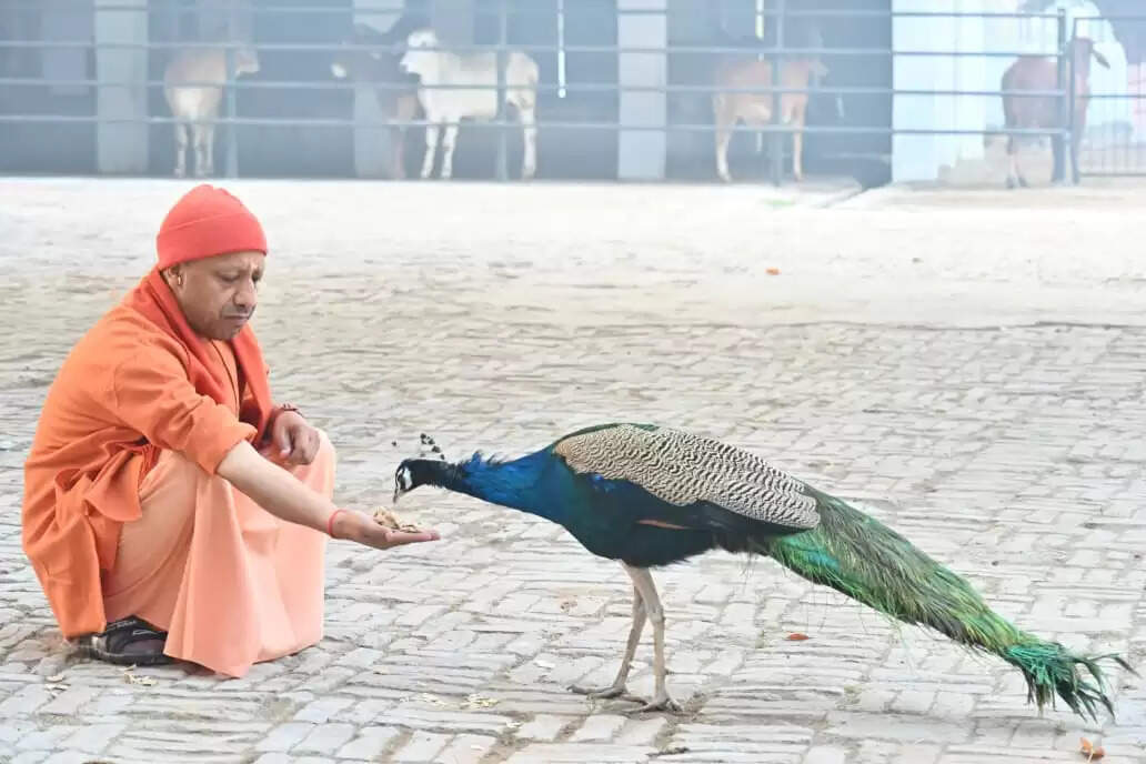 (अपडेट) घबराइए मत, हर समस्या का होगा प्रभावी समाधान : मुख्यमंत्री योगी