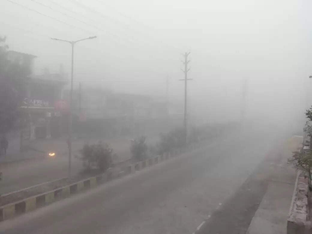 अनूपपुर: कोहरे एवं ठंड की चपेट में जिला विजिबिलिटी घट कर हुई 10 मीटर, प्राथमिक के बच्चों की छुट्टी