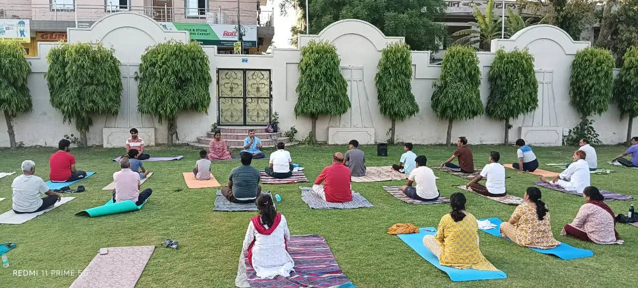 सनातन ज्ञान और योग ही आधुनिक जीवनशैली की समस्याओं का समाधान- अनिता भदेल