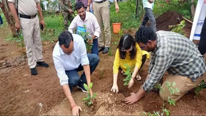 बड़वानीः कलेक्टर कार्यालय परिसर में मियावाकी पद्धति से किया गया 1111 पौधों का रोपण