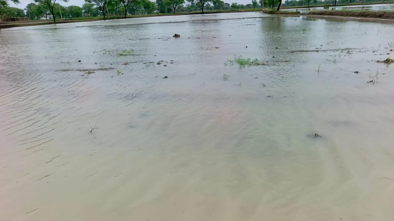 मूसलाधार बारिश से धमतरी शहर बेहाल , गलियों में जलभराव, निचली बस्तियों के सैकड़ों परिवार प्रभावित