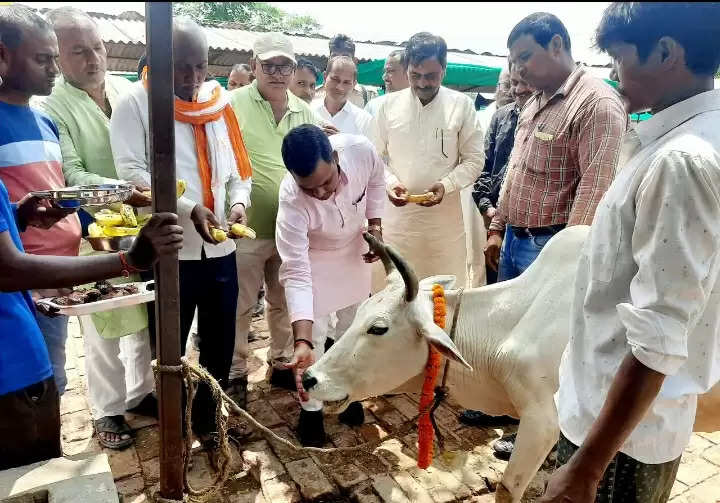 जन्माष्टमी पर्व पर रोहनिया विधायक ने गौशाला में किया गौ पूजन, खिलाया फलाहार