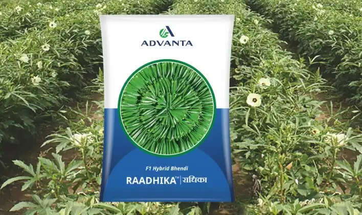 एडवांटा इंटरप्राइजेज पब्लिक इश्यू लाएगी, सेबी के पास डीआरएचपी जमा कराया