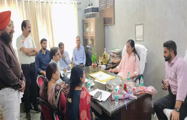 नारनाैल: बाजरा बेचने को किसान घर बैठे ई-खरीद पोर्टल से तय करें शेड्यूल: अनुपमा अंजली