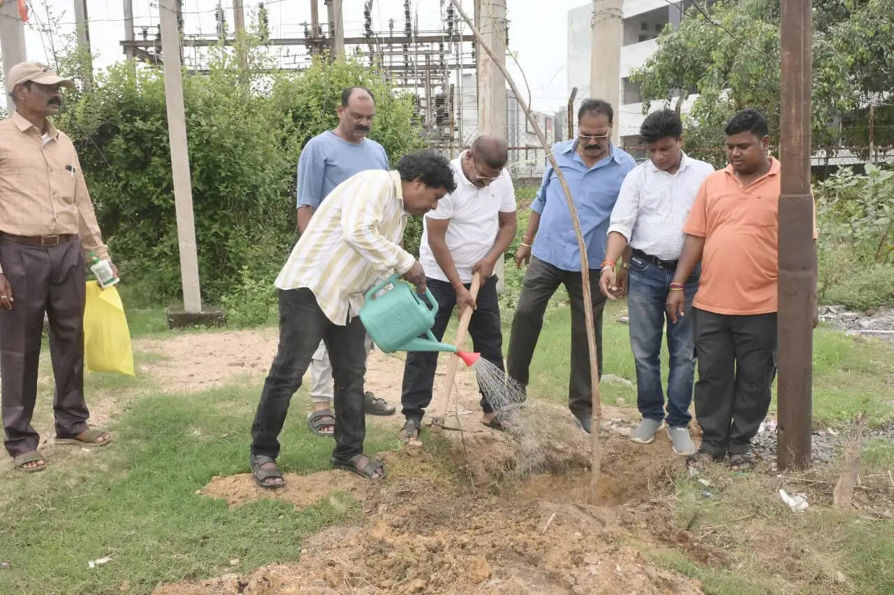 हरित कोरबा अभियान जारी, सुनालिया पुल मोड़ से मल्टीलेवल पार्किंग तक किया गया वृक्षारोपण
