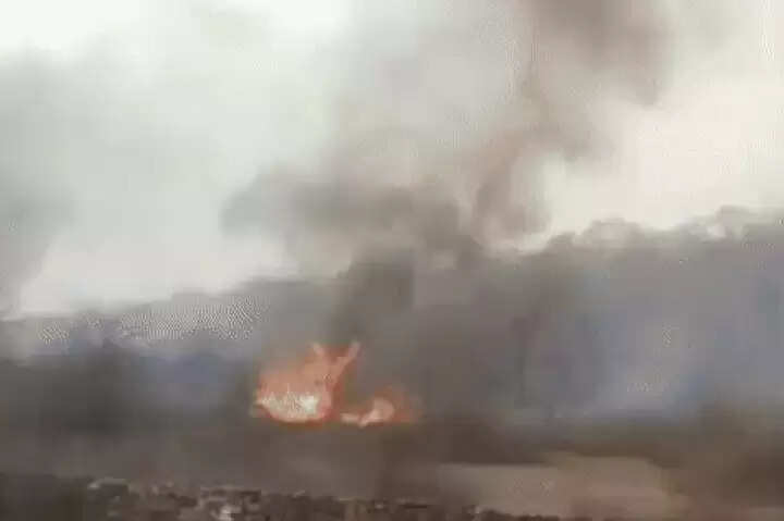 मप्र के शिवपुरी के माधव टाइगर रिजर्व में लगी आग, विभागीय टीम बाघों की सुरक्षा में जुटी