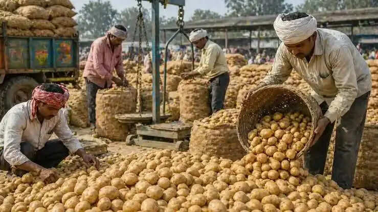 आलू उत्पादक कृषकों को आर्थिक सहायता एवं उचित मूल्य दिलाने के लिए उद्यान विभाग की दो योजनाएं संचालित