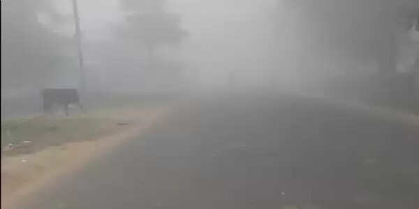 बलरामपुर में घना कोहरा, दृश्यता शून्य, सड़कों पर थमी रफ्तार