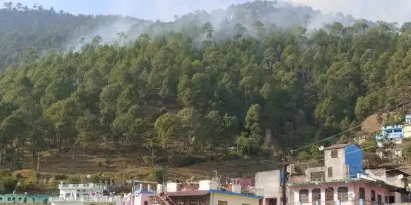 धू-धू कर जल रहा देवाल सेलखोला का जंगल