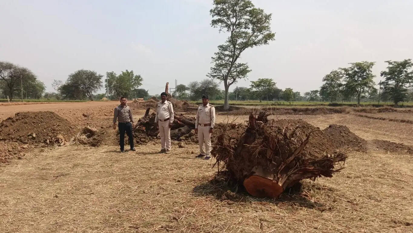 दर्जनों पेड़ कटने के बाद जागा प्रशासन, लकड़ियां जब्त, कार्रवाई अब भी अधर में