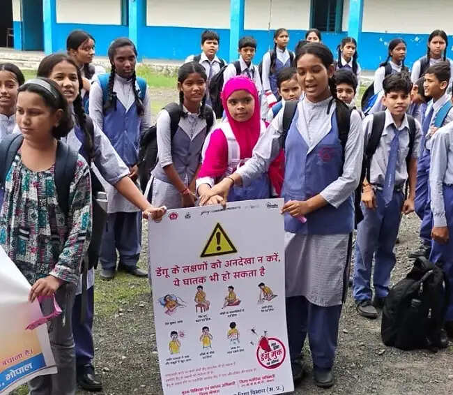 भोपाल में जनवरी से अब तक मलेरिया के चार, डेंगू के 44 और चिकुनगुनिया के मिले 9 मरीज