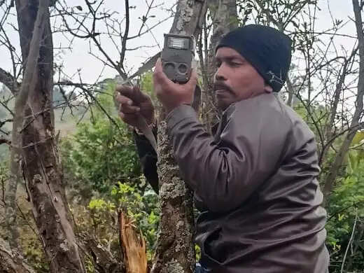 हाथियों पर अब हाईटेक निगरानी, कटघोरा वनमंडल में लगेंगे ई-आई टावर कैमरे