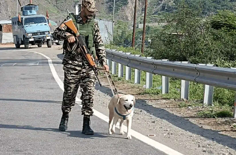 जम्मू-कश्मीर में अनुच्छेद 370 को हटाने की बरसी आज, अभूतपूर्व सुरक्षा इंतजाम, अमरनाथ यात्रियों के जत्थों को आने-जाने की अनुमति नहीं