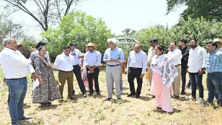 जबलपुरः कलेक्टर ने कृषि विभाग द्वारा संचालित गतिविधियों का किया अवलोकन