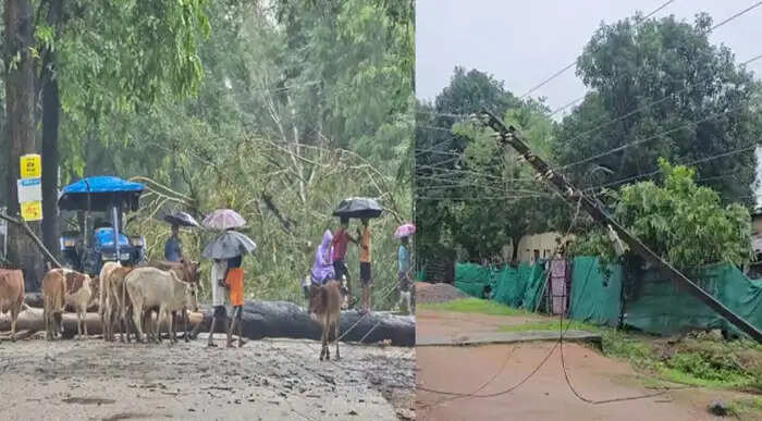 बांदे-पखांजूर मुख्य मार्ग पर दर्जनों पेड़ व बिजली के पोल गिरे यातायात हुआ बाधित