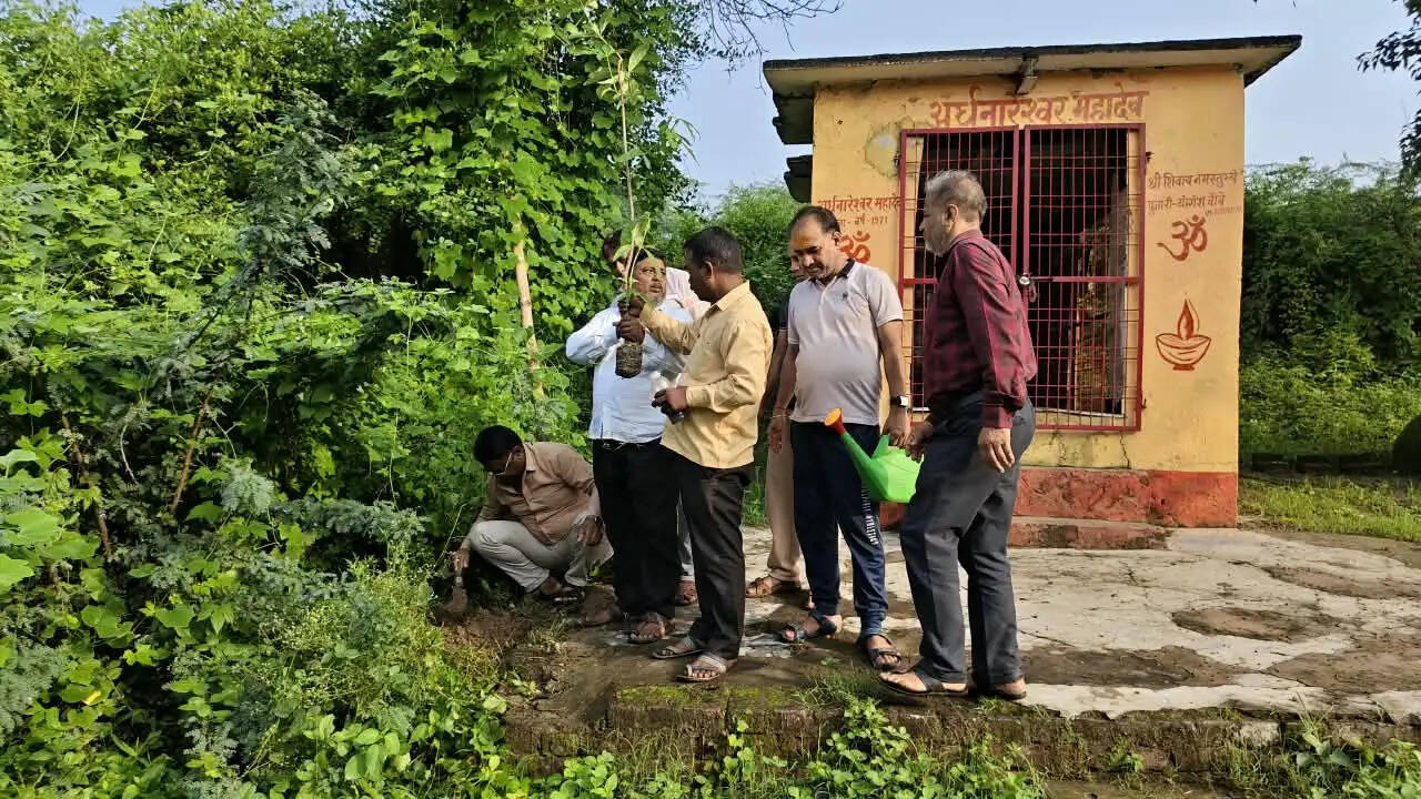 औरैया : अर्धनारेश्वर मंदिर परिसर में पौधारोपण, पर्यावरण संरक्षण का दिया संदेश
