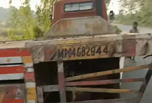 मप्र के डिंडौरी में चलते ट्राला में घुसी बाइक, पति-पत्नी सहित चार की मौत