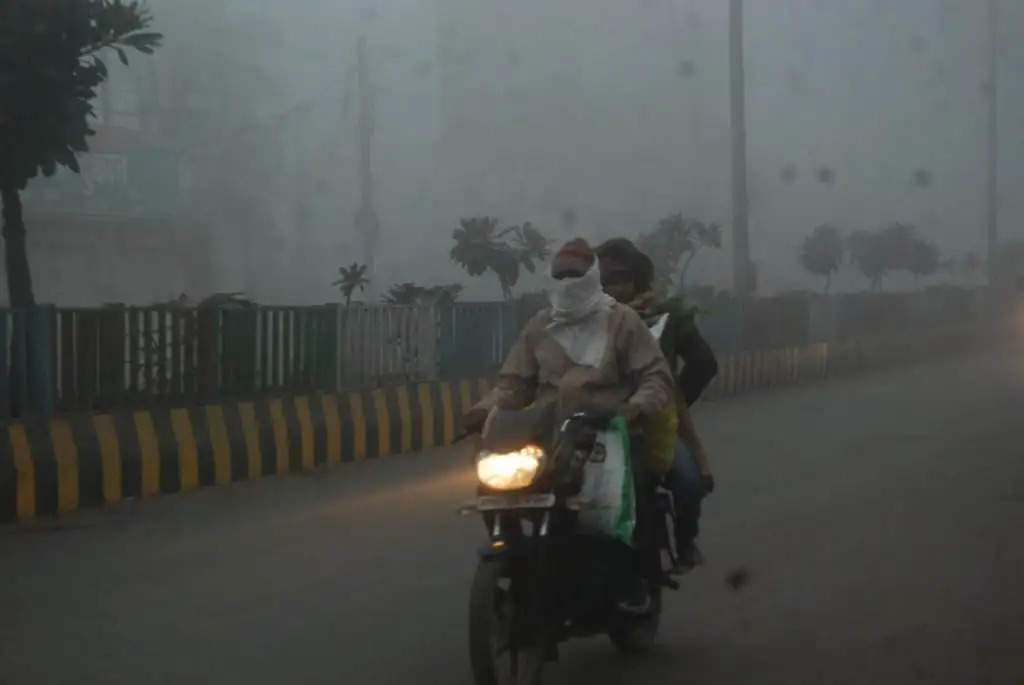 ग्वालियर: शहर में सुबह घना कोहरा, दोपहर में धूप, शाम को चली शीतलहर