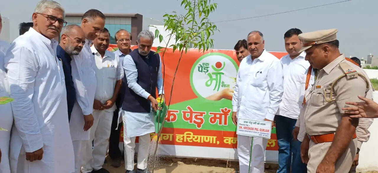 पलवल : मोदी सरकार के 12 वर्ष विकास, विश्वास और जनकल्याण को समर्पित : कृष्णपाल गुर्जर
