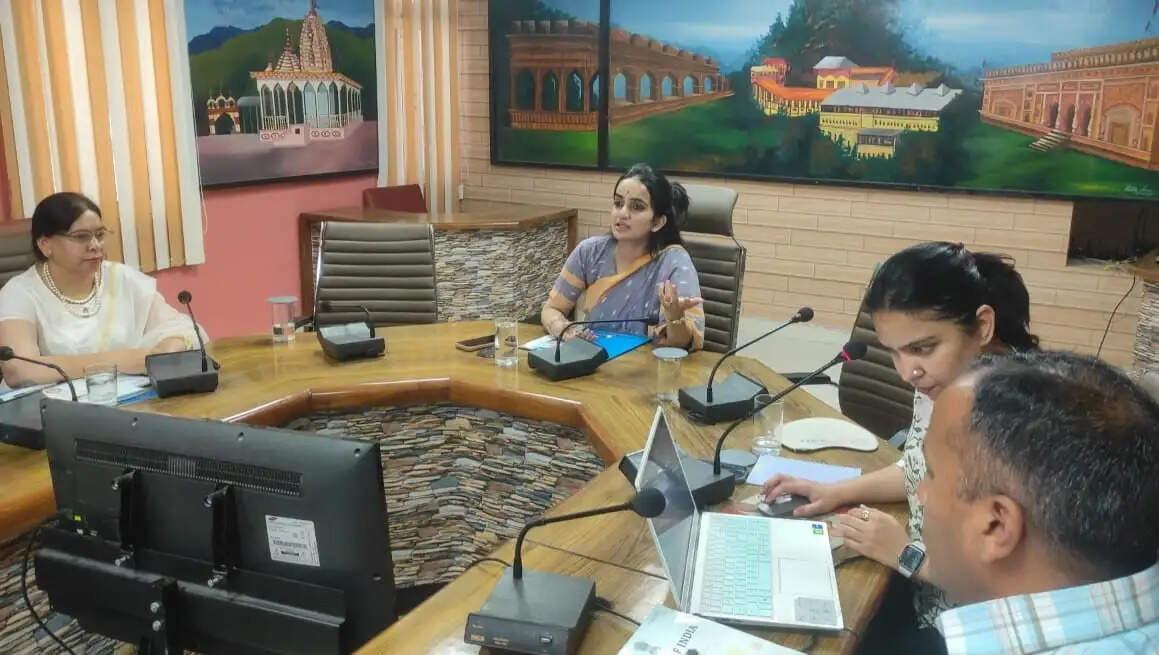 जनगणना के दौरान हो डाटा का सही एकत्रीकरण एवं एंट्री : गंधर्वा राठौड़