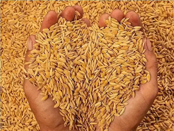 प्रदेश में 4,09,444 किसानों से ख़रीदा गया धान, आंकड़ा 25 लाख मीट्रिक टन के पार