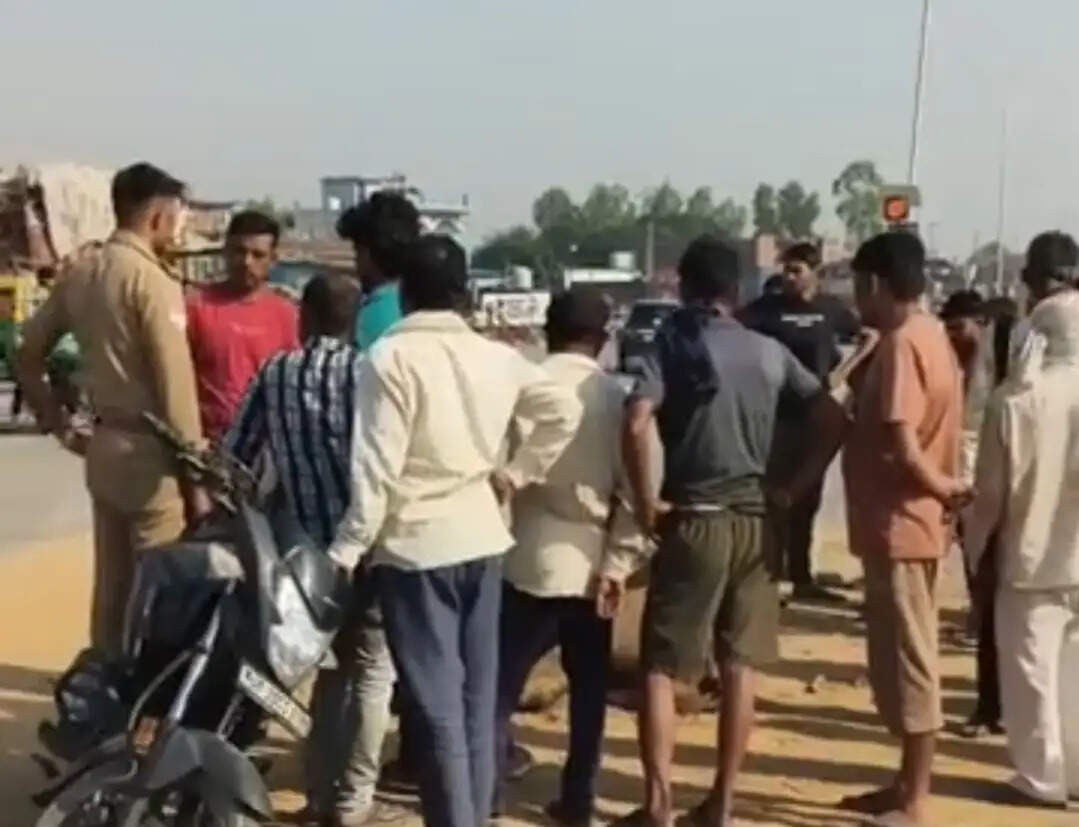 कंटेनर -भैंसा बुग्गी की टक्कर में भैंसा की मौत, चालक ने कूदकर बचाई जान