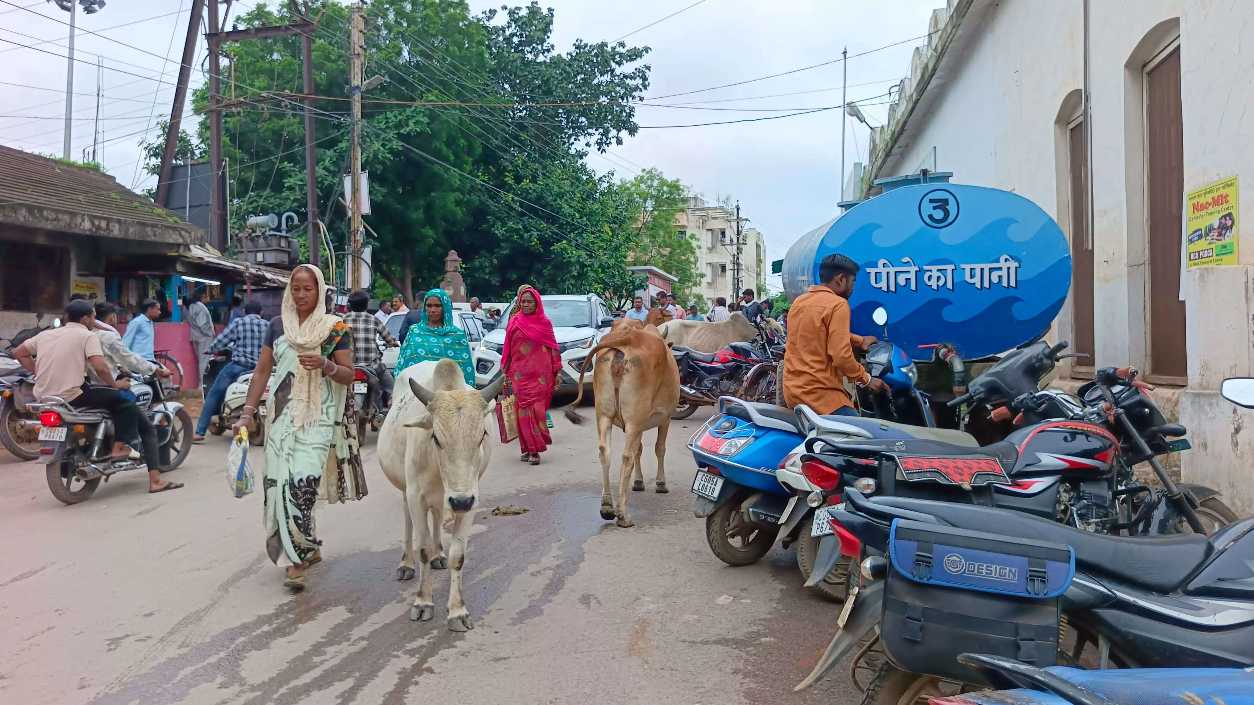 धमतरी:सड़क में दिखे मवेशी तो मवेशी मालिकों पर सजा एवं जुर्माना