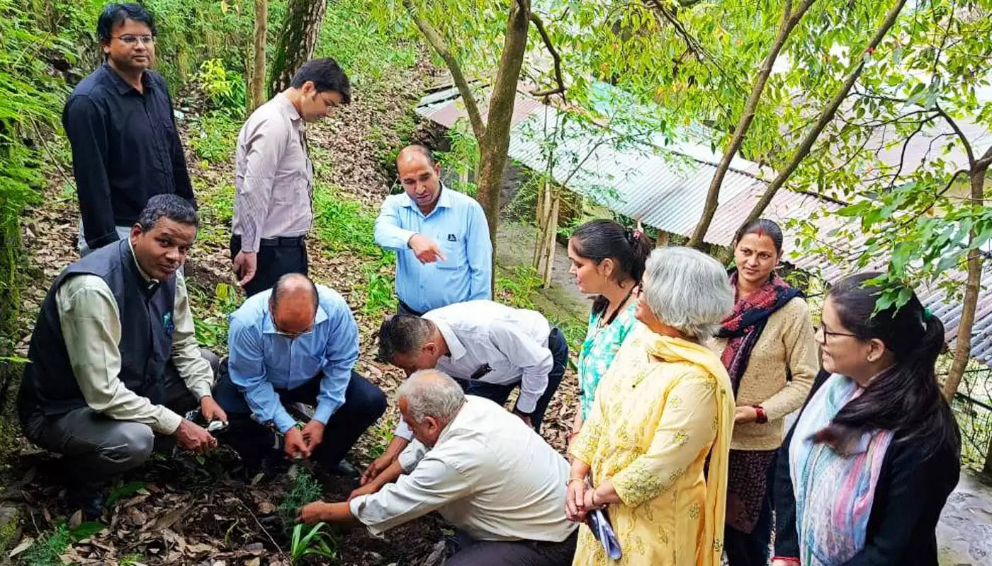 डीएसबी परिसर में सुरई के 25 पौधे लगाए